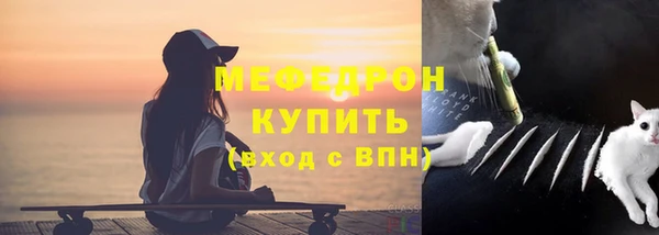 шишки Гвардейск