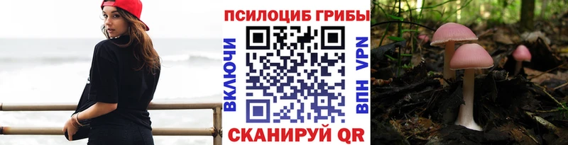 ОМГ ОМГ ссылки  Кумертау  Псилоцибиновые грибы Magic Shrooms 